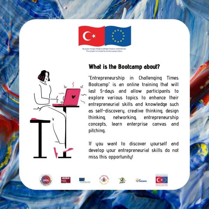 international entrepreneurship